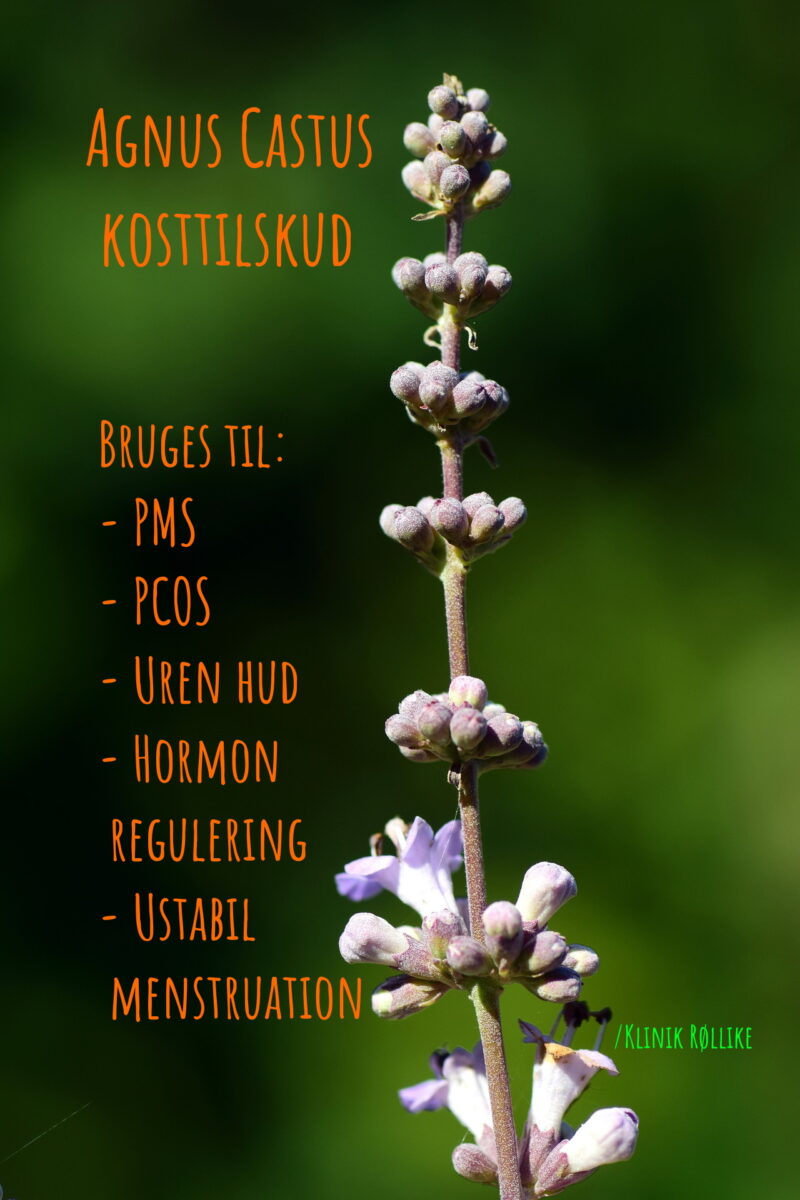 Agnus Castus kosttilskud, fantastisk til PMS, PCOS og ustabil cyklus.