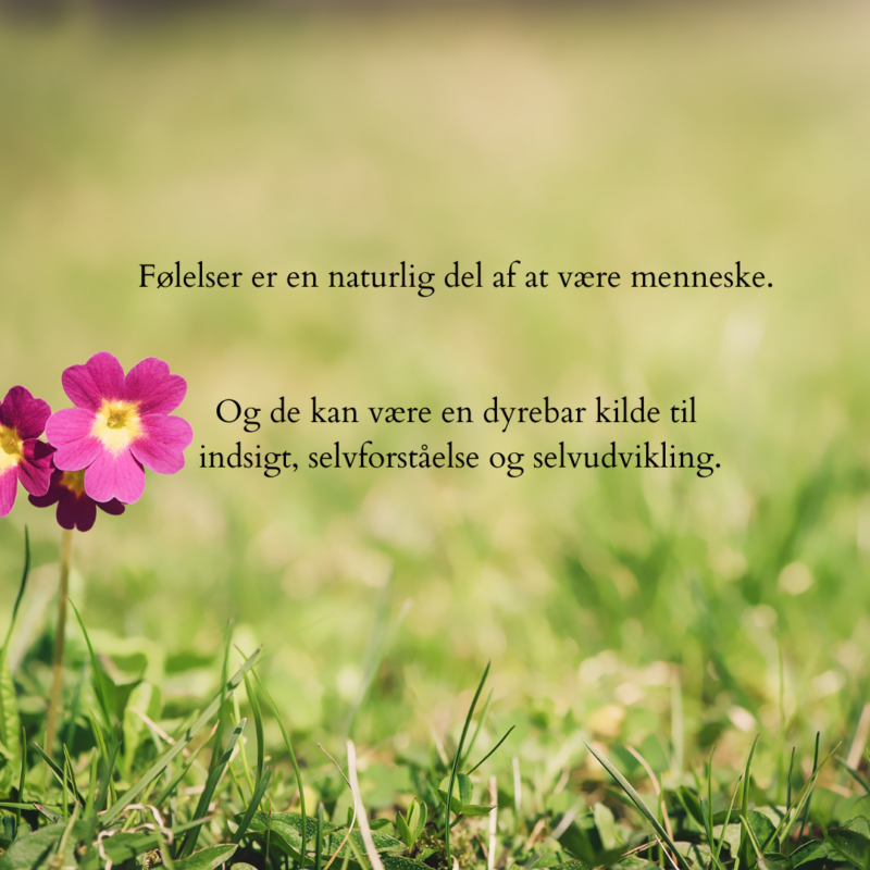 Følelsespalette: Tips til at omfavne dine følelser.