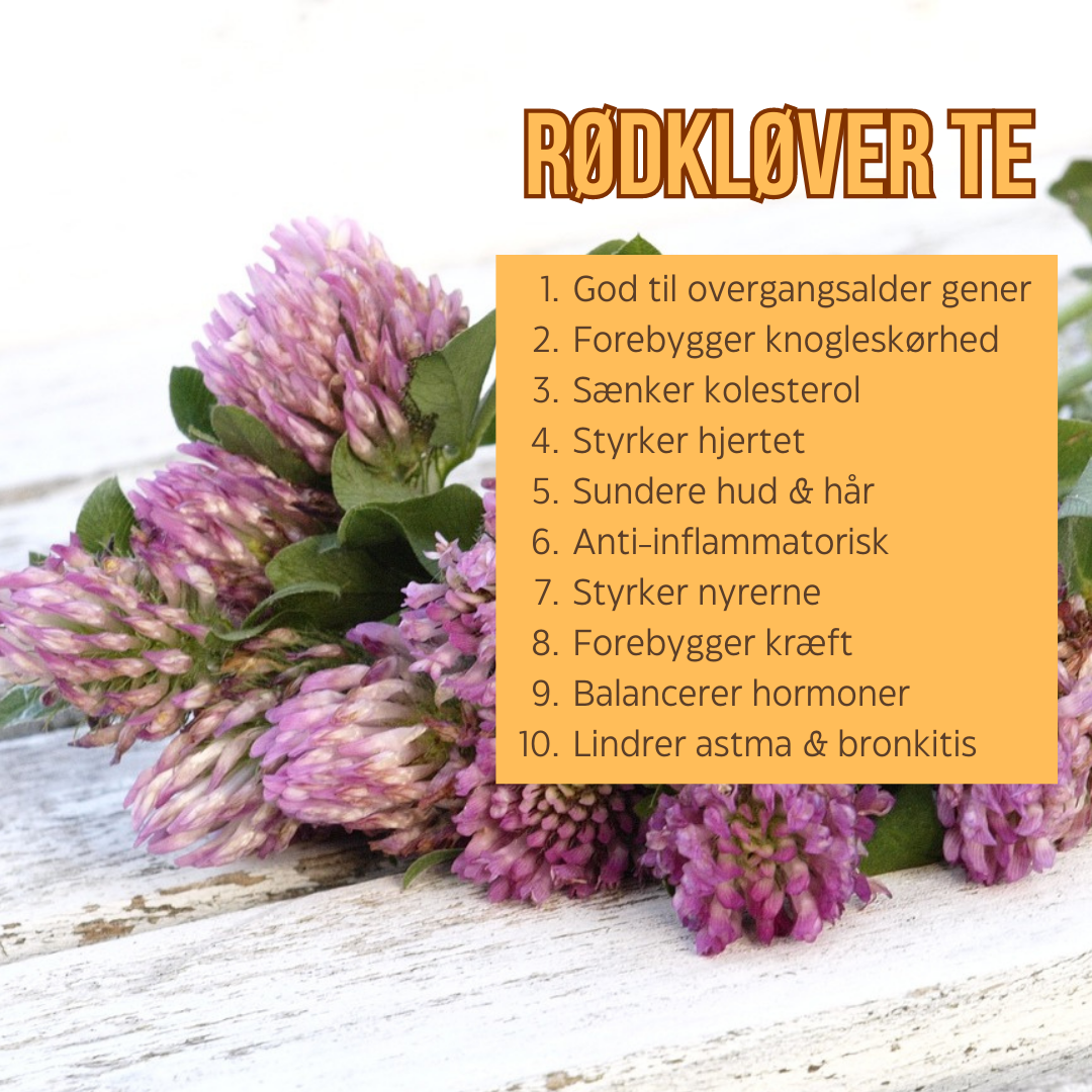 Urtete: Rødkløver te. Rødkløverte. God til overgangsalder gener
 Forebygger knogleskørhed
 Sænker kolesterol
 Styrker hjertet
 Sundere hud & hår
 Anti-inflammatorisk
 Styrker nyrerne
 Forebygger kræft
 Balancerer hormoner
 Lindrer astma & bronkitis