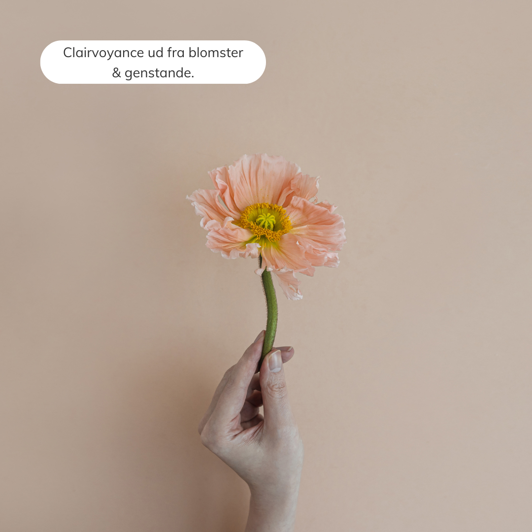 clairvoyance ud fra blomster