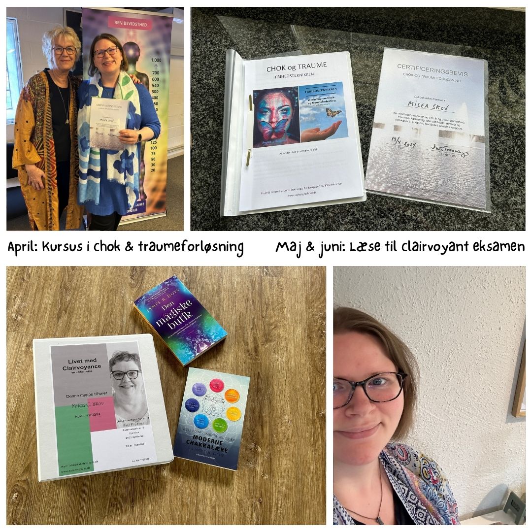 Året der gik 2024