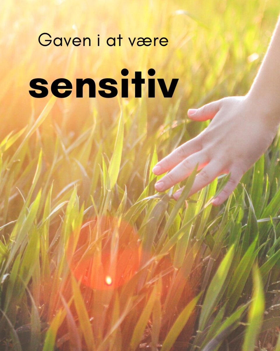 Gaven i at være sensitiv.