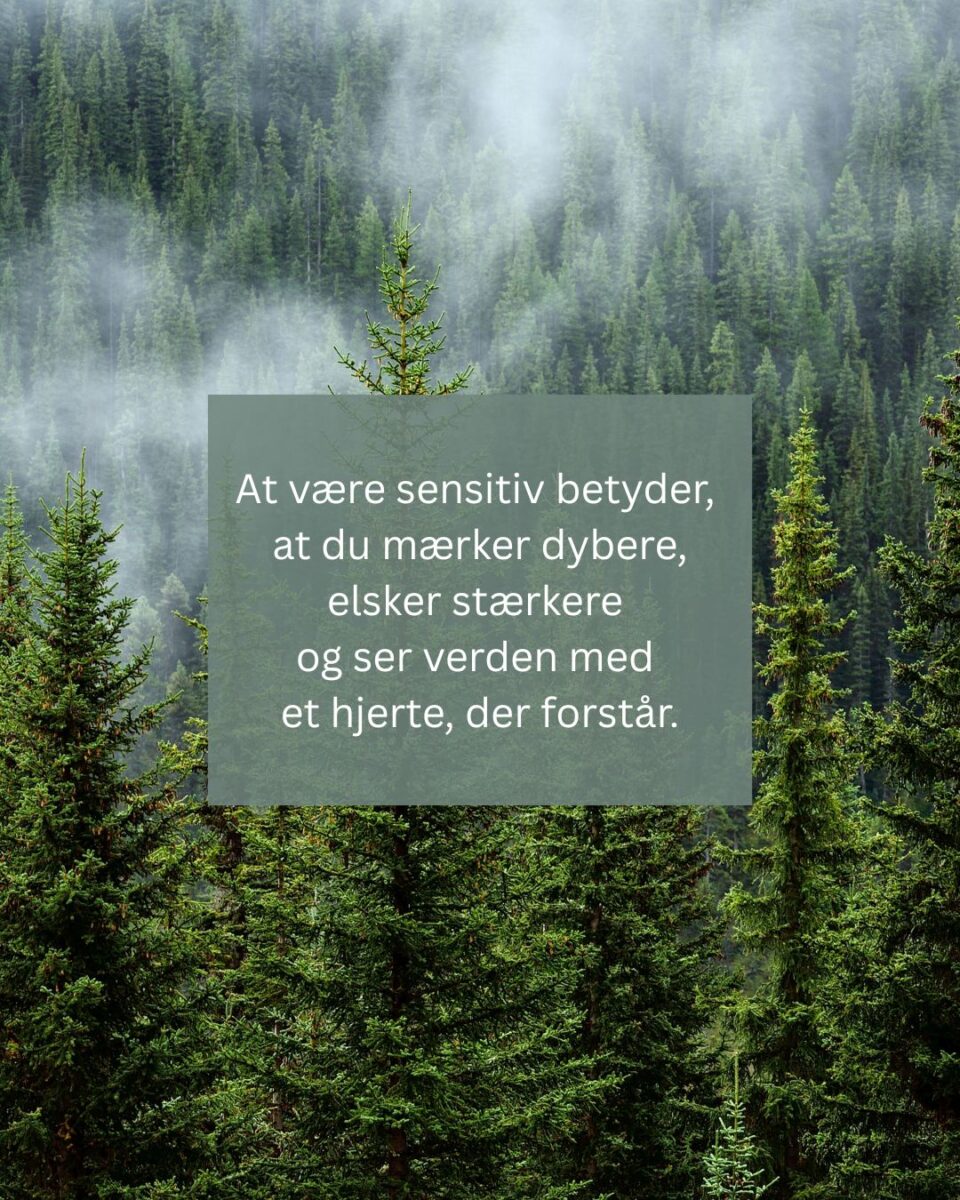 Gaven i at være sensitiv.