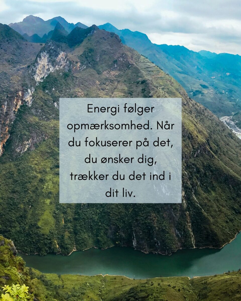 Hvad er manifestation?