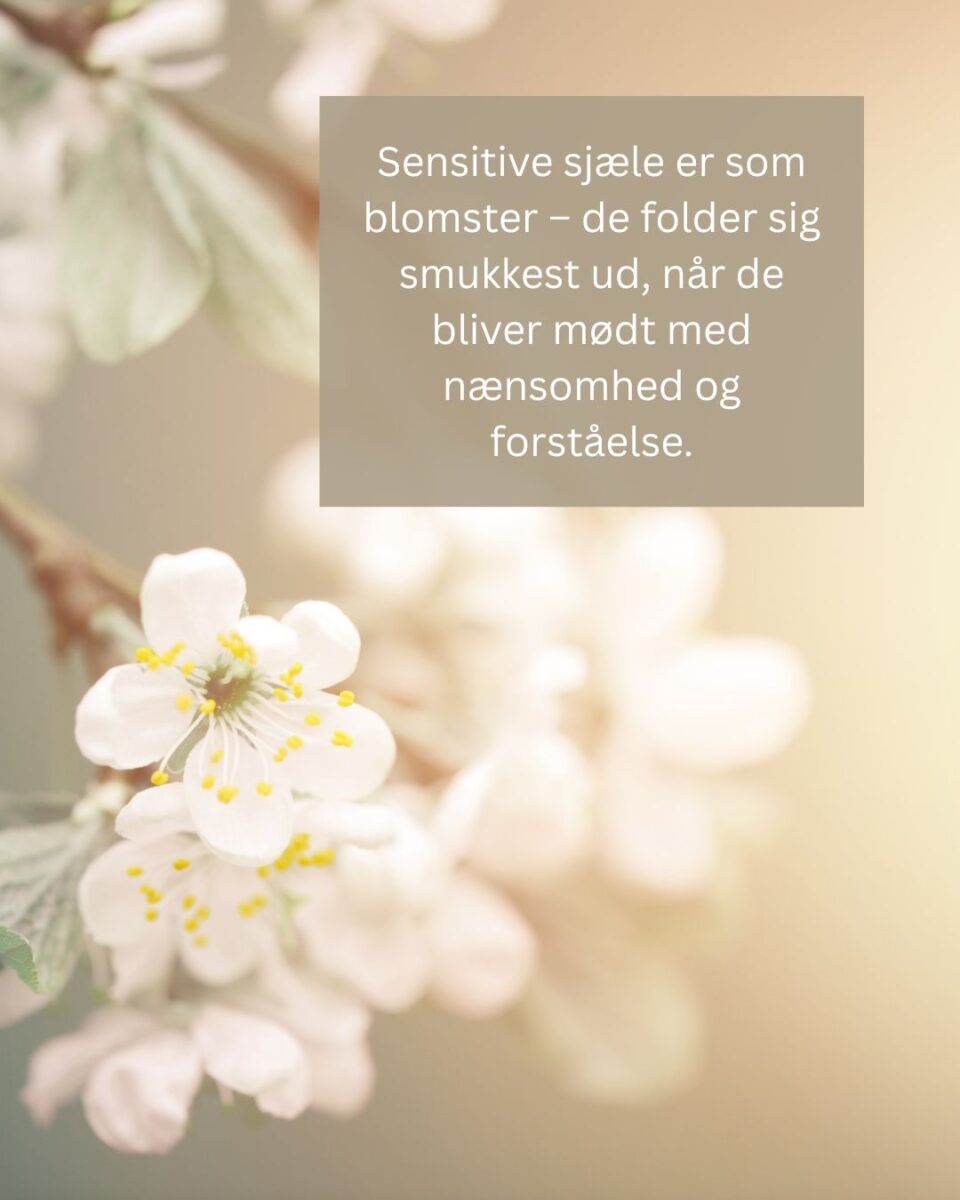 Gaven i at være sensitiv.