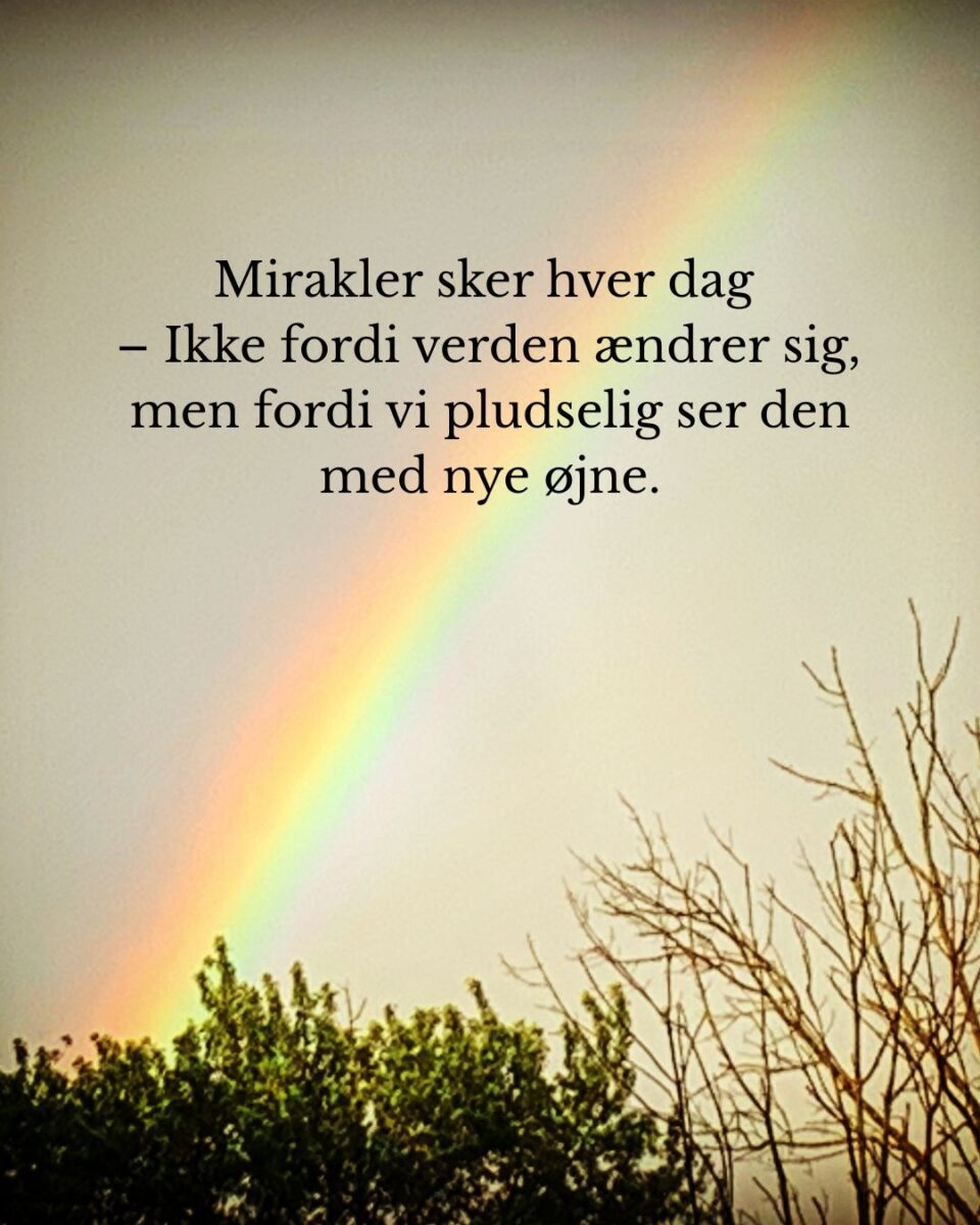 Hverdagsmirakler.