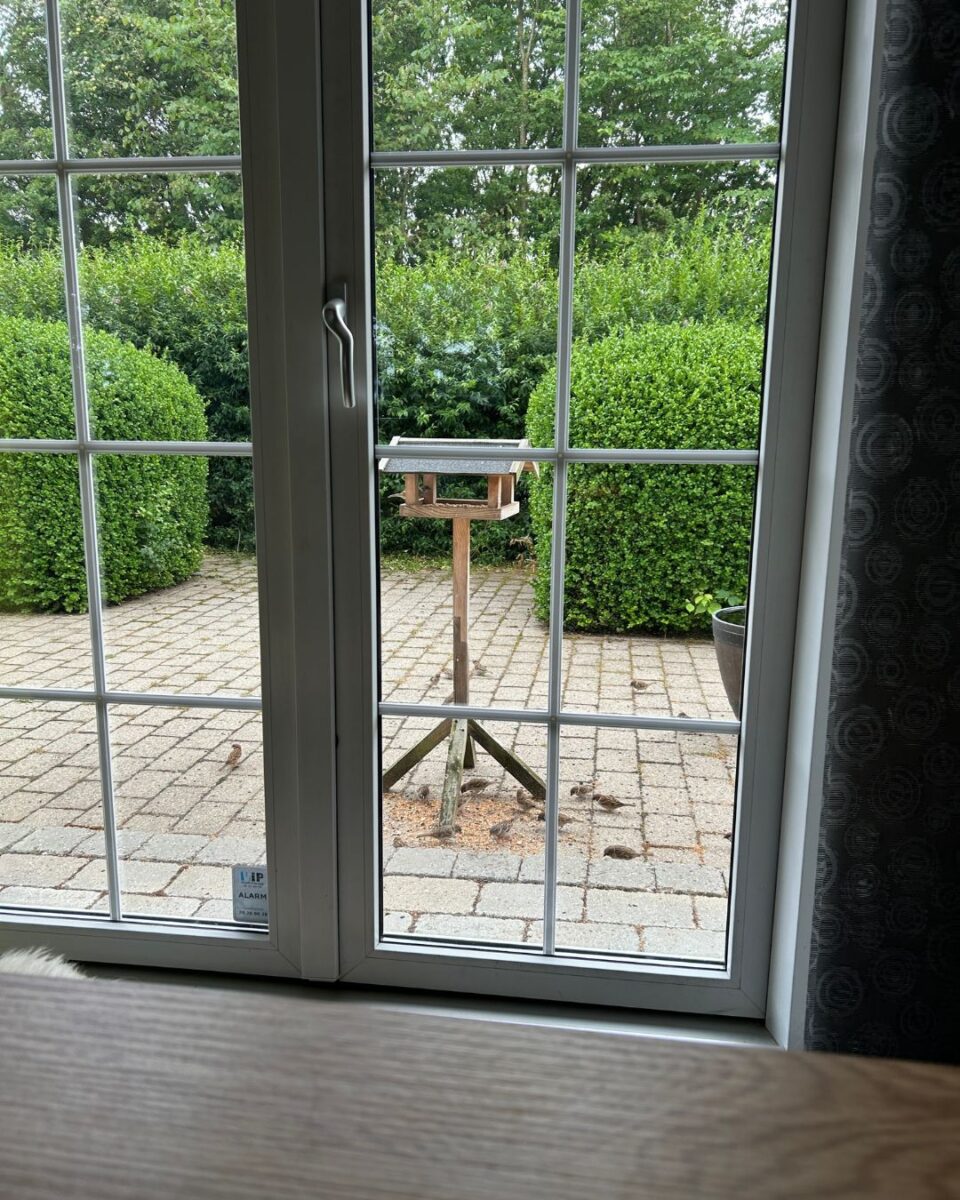 Sommerlæring om pleasing.
