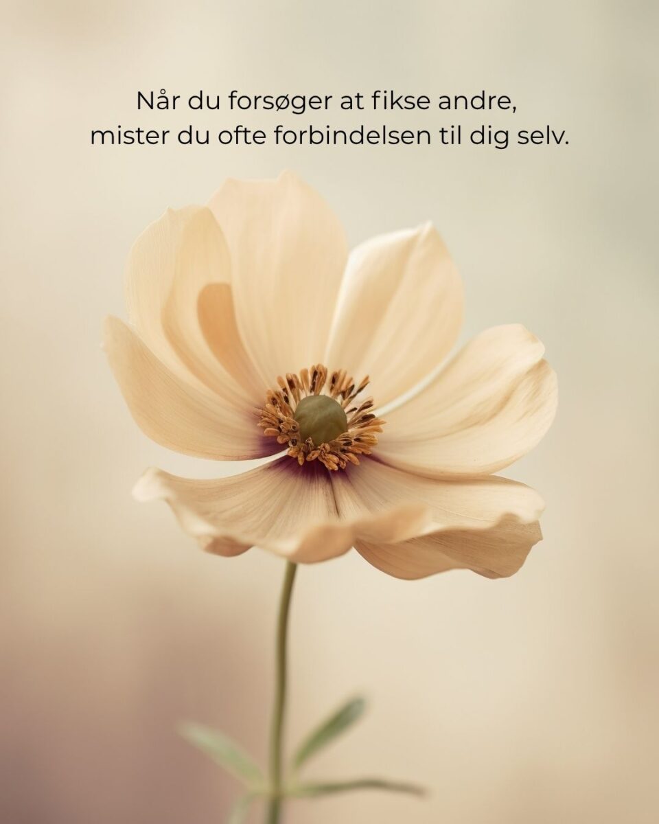 Du kan ikke redde og fikse alle.