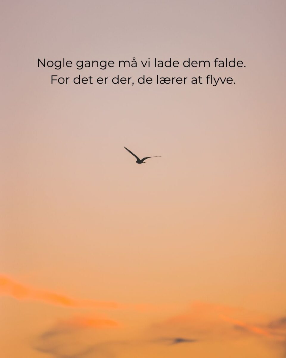 Du kan ikke redde og fikse alle.
