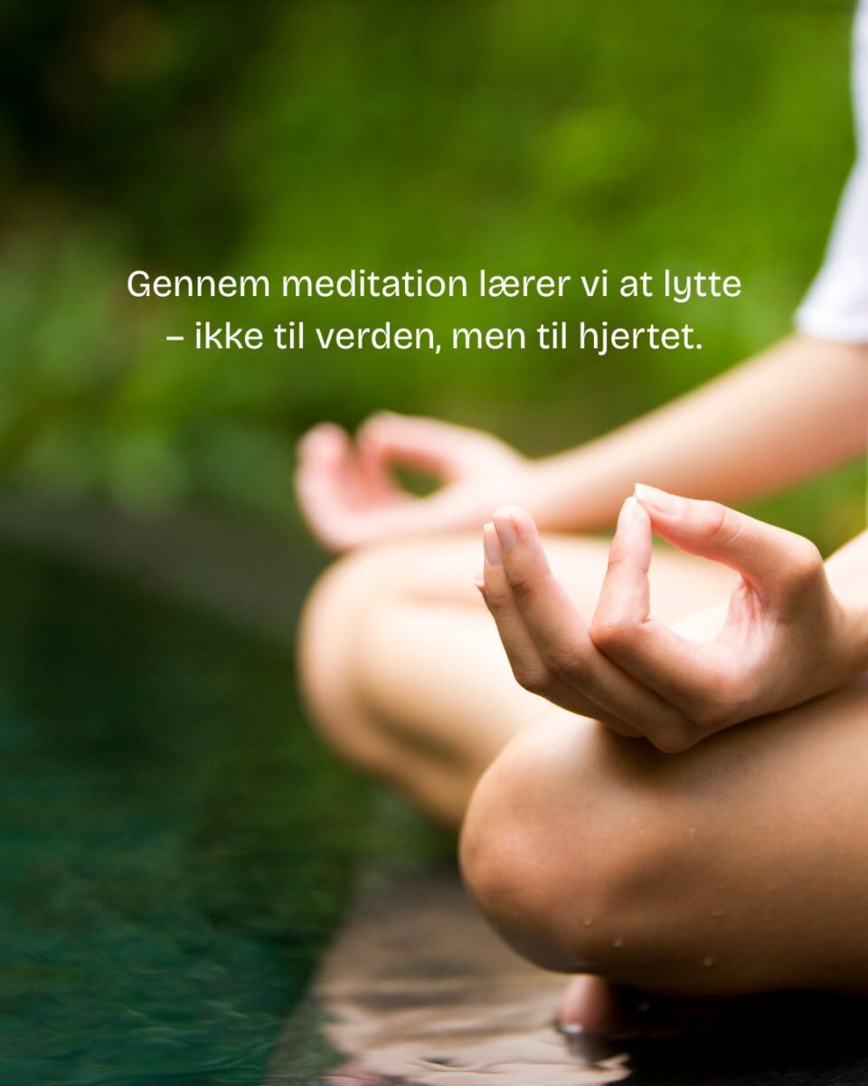 meditation