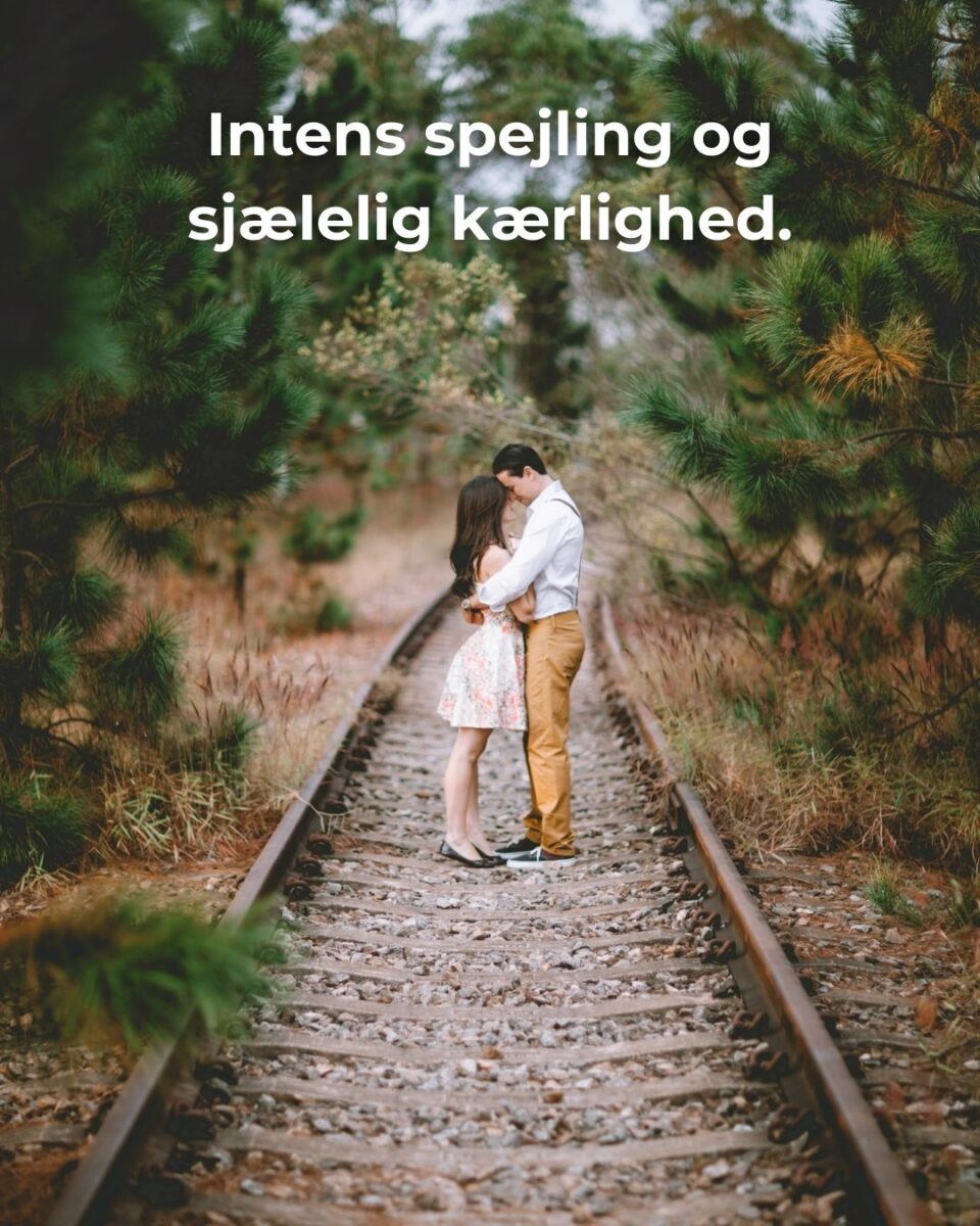 Twin Flame rådgivning
