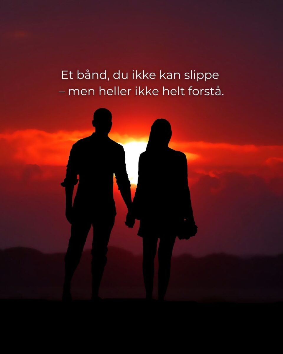 Twin Flame rådgivning