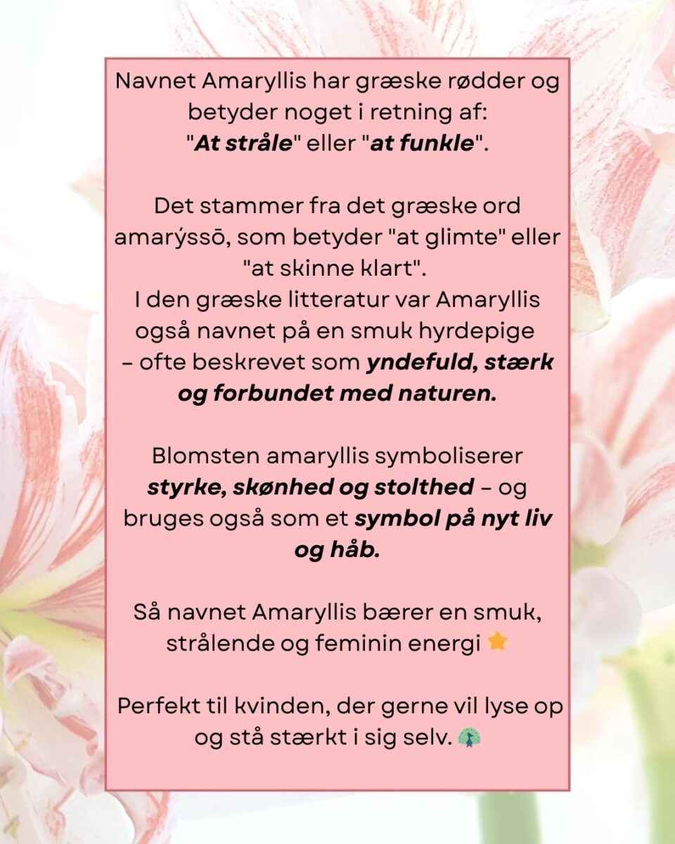 amaryllis navn