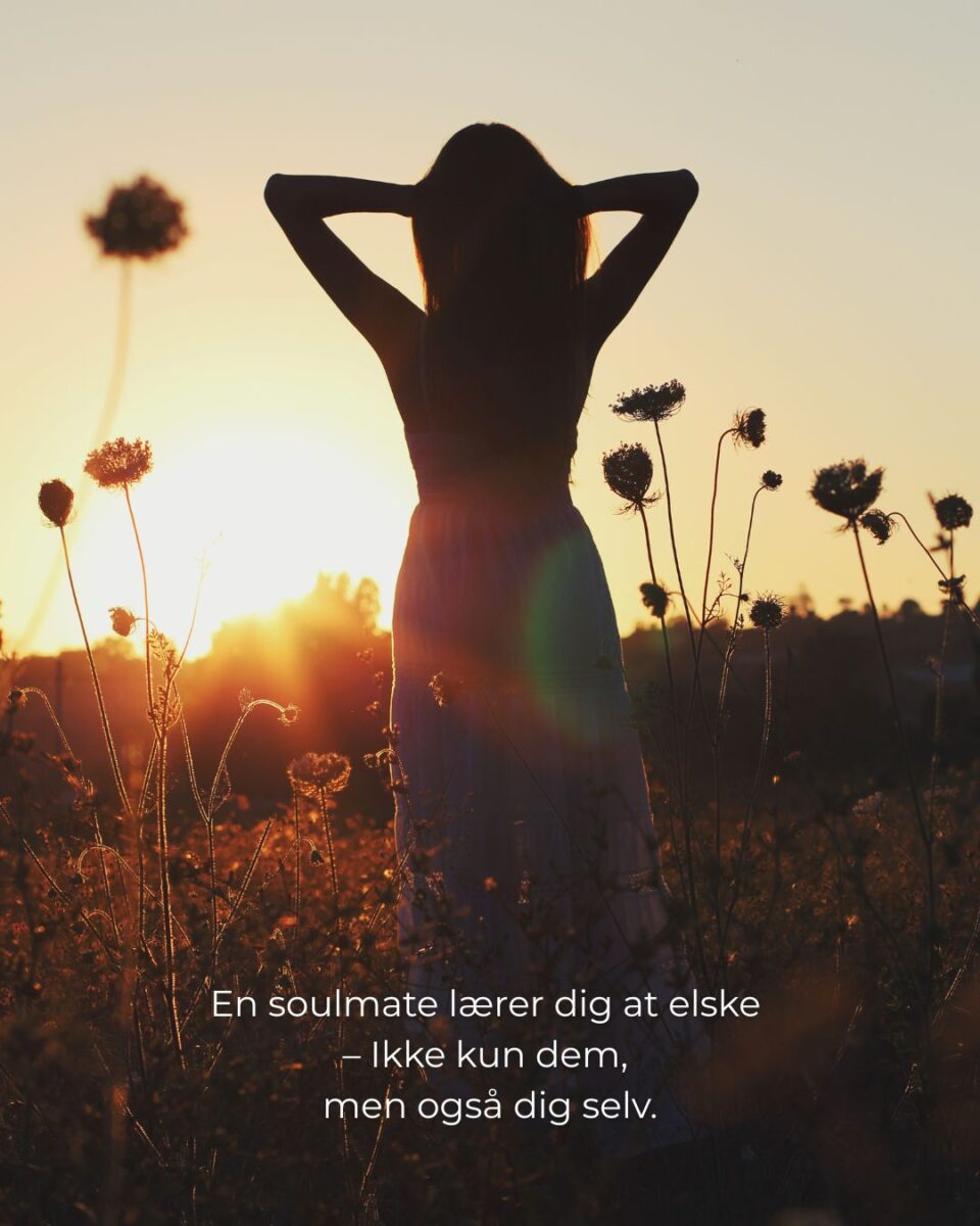 Hvad betyder soulmates?