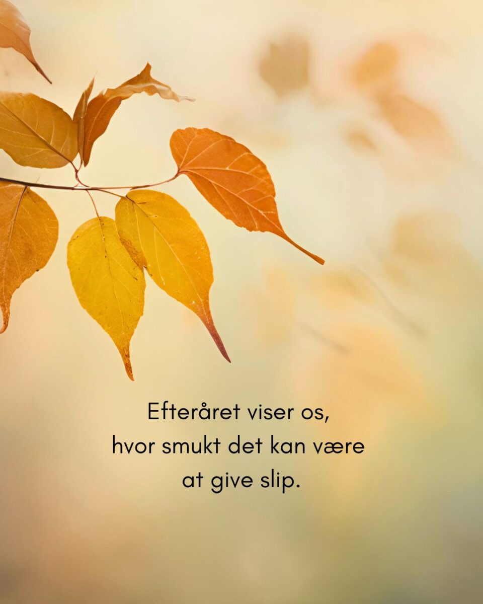Efterårets energi er at give slip.