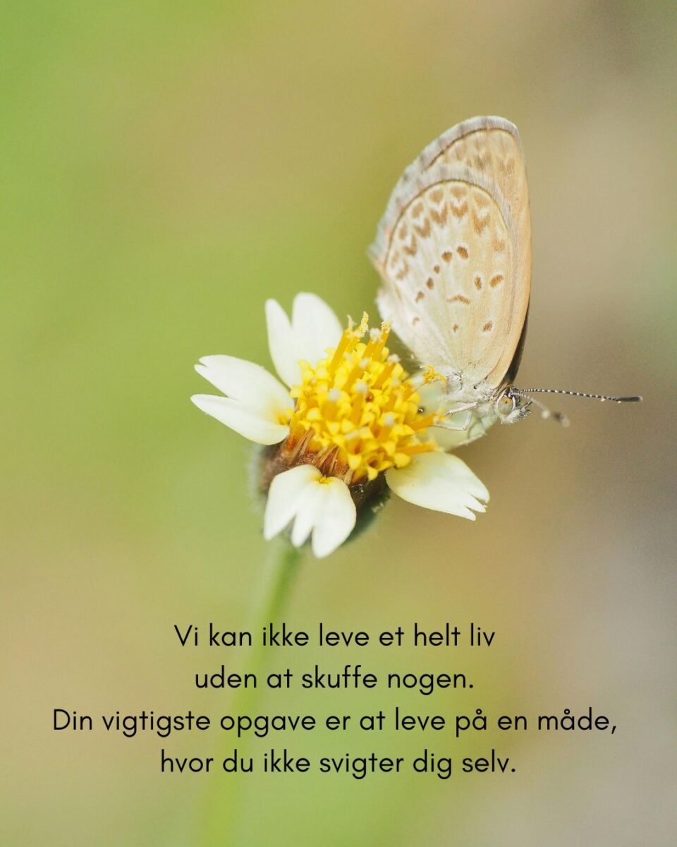 Slip frygten for at skuffe andre
