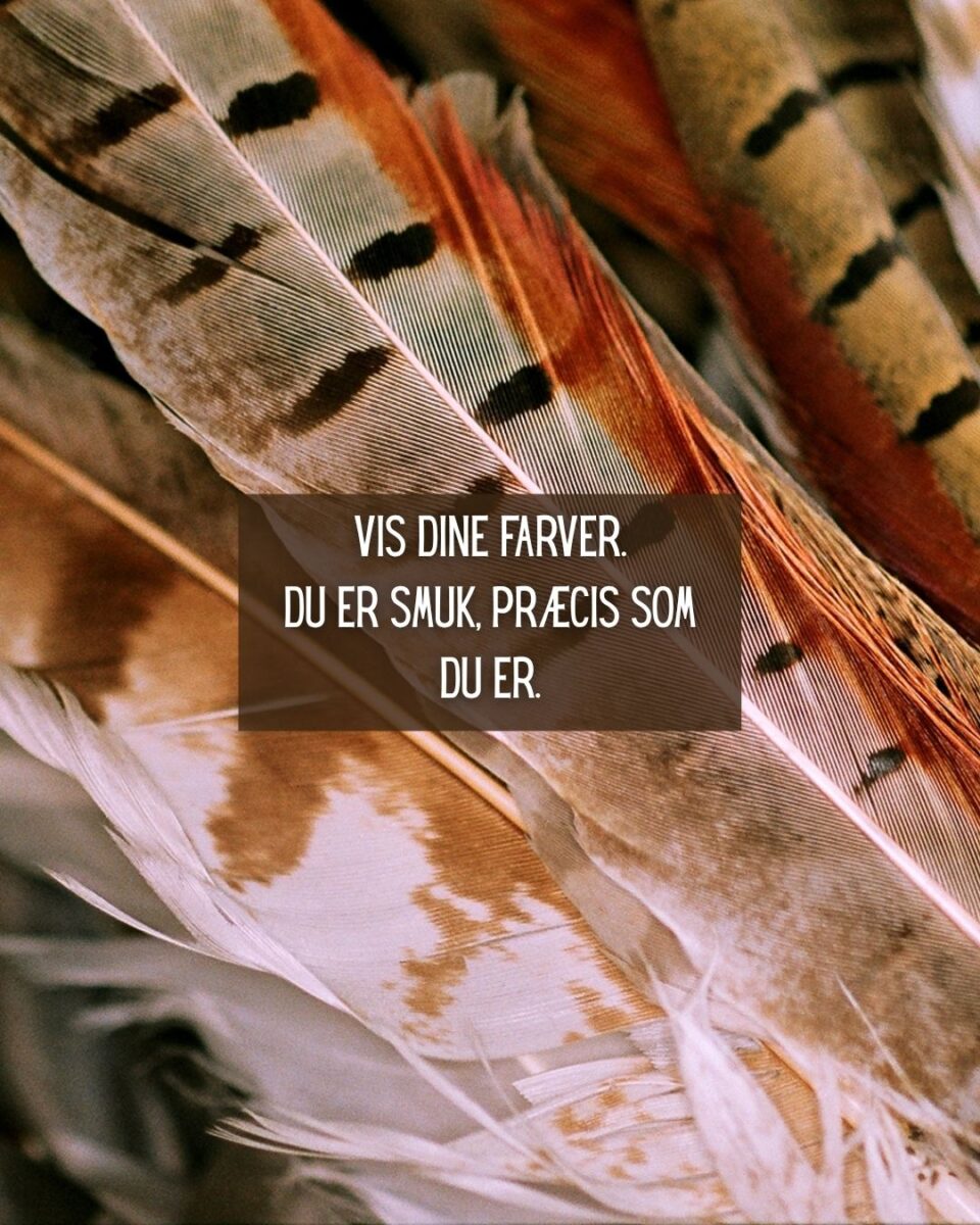Fasans spirituelle betydning og symbolik.