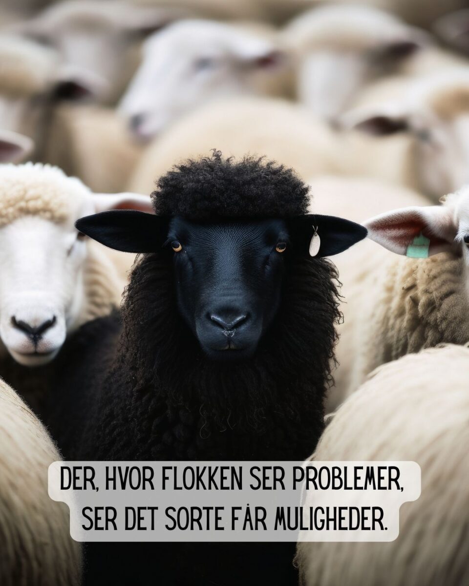 Styrken i at være det sorte får.