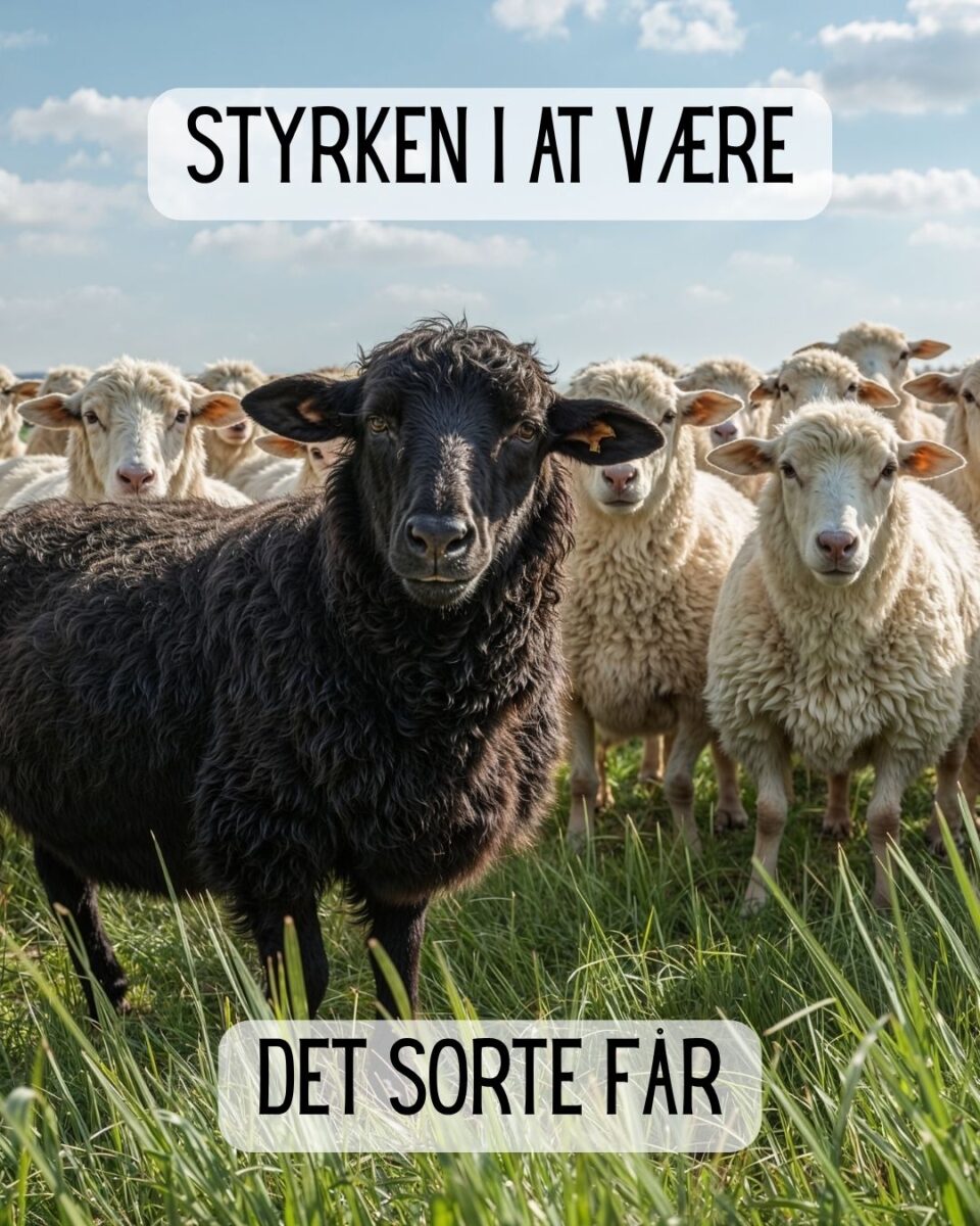 Styrken i at være det sorte får.