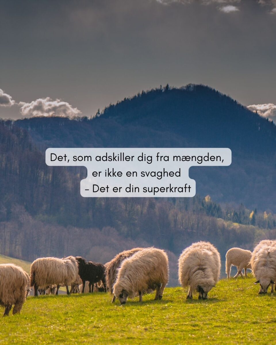 Styrken i at være det sorte får.
